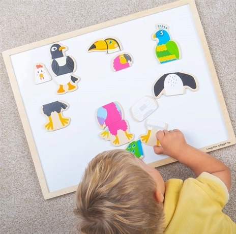 Дървени магнити „Птичи приятели“ BIGJIGS TOYS