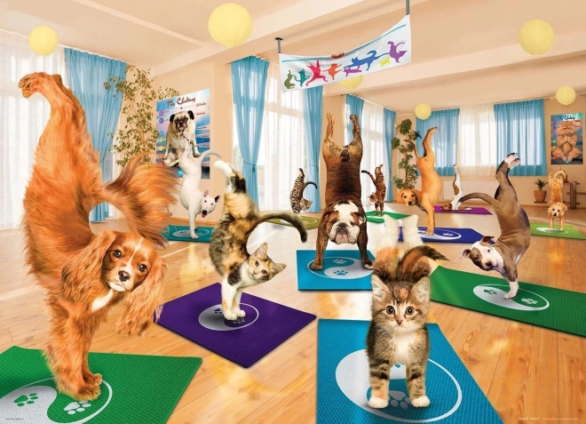 Puzzle EUROGRAPHICS Yoga Studio XL 300 pieces