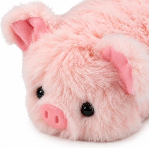 Adorable piglet appearance