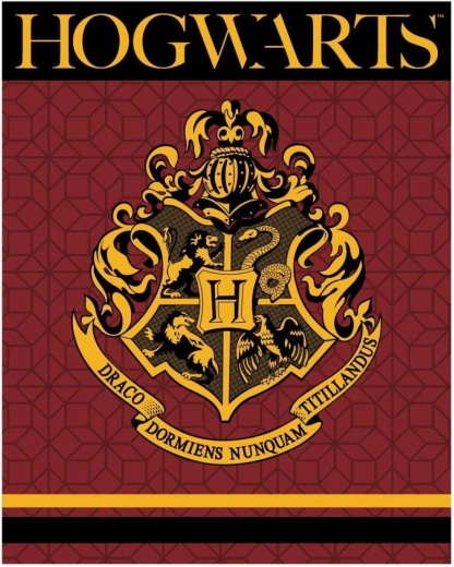Флийс одеяло Harry Potter XL