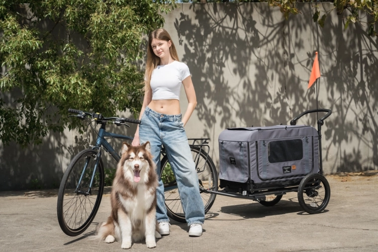Convert to a bike trailer in seconds