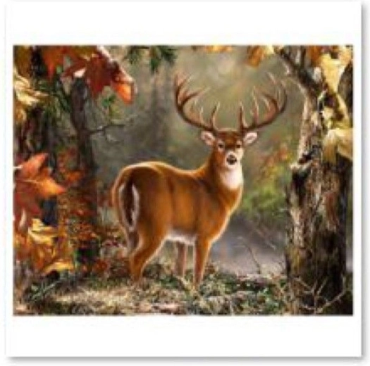 Diamond painting – Noble Deer 40 × 30 cm