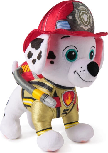 Автентична пожарникарска визия