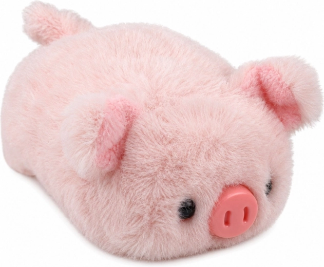 Cute pig details