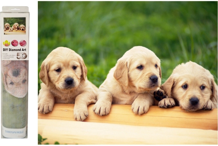 Diamond mosaic Labrador puppies - 1 piece