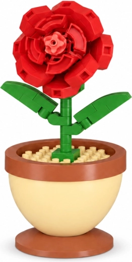 Detailed red rose