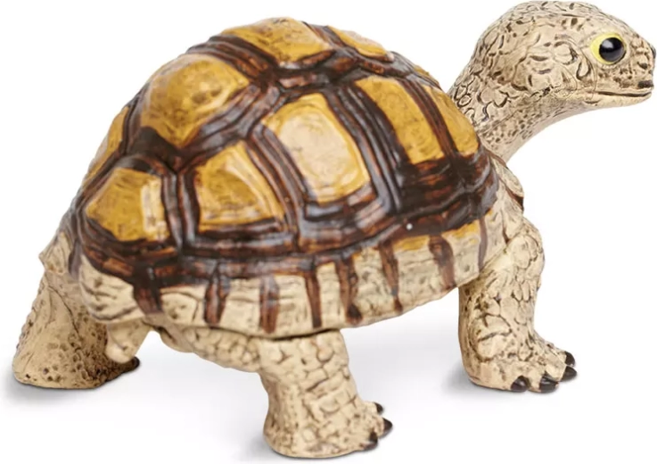 Ideal size for play and display