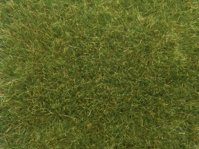 Noch wild medium green grass 9mm