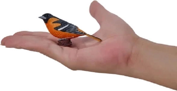 Hand-painted plumage