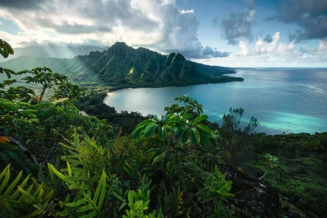 Пъзел Ravensburger Hawaiian Viewpoint 5000 части