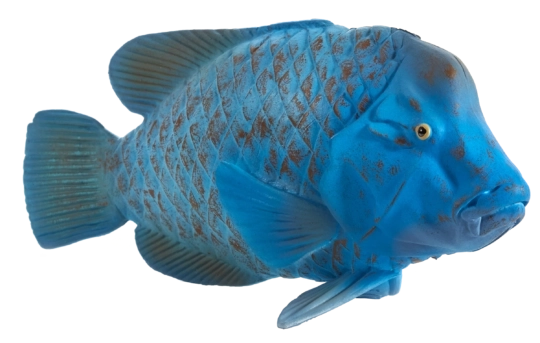 Mojo green wrasse figurine – realistic animal toy