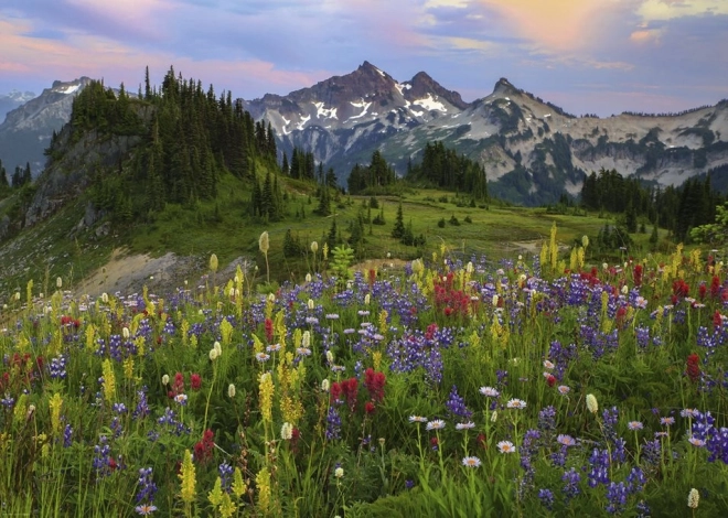 Puzzle 2000 Pieces - Tatoosh Mountains