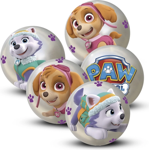 Paw Patrol Ball 10 cm – display of 12 pieces