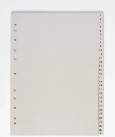 Document Divider A4 1-31