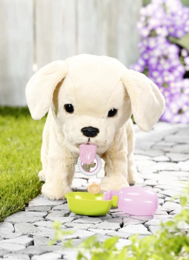 Care, feeding and drinking