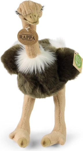 Adorable ostrich appearance