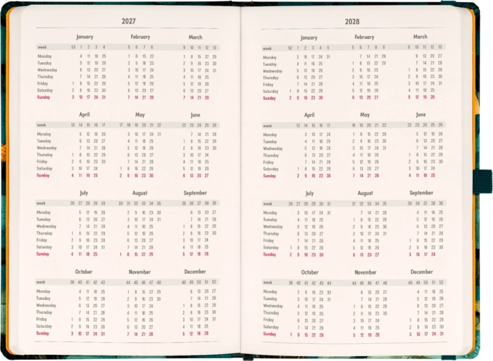 Бърз годишен преглед 2027/2028