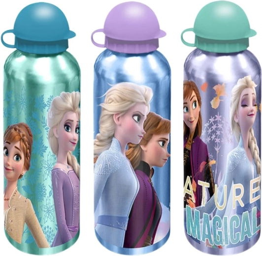 Любим дизайн Disney Frozen