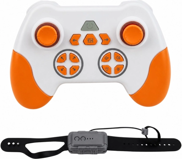 Dual control: controller and gestures