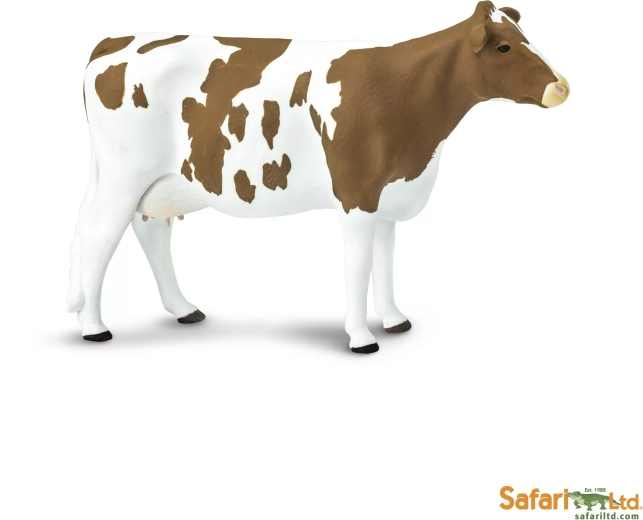 Safari Ltd. Ayrshire cattle