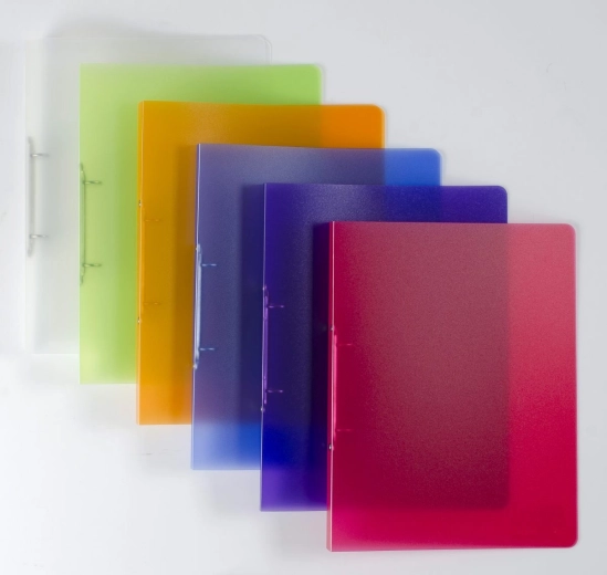 A4 Polypropylene Ring Binder, 2 Rings, Assorted Colors, 2 cm Spine
