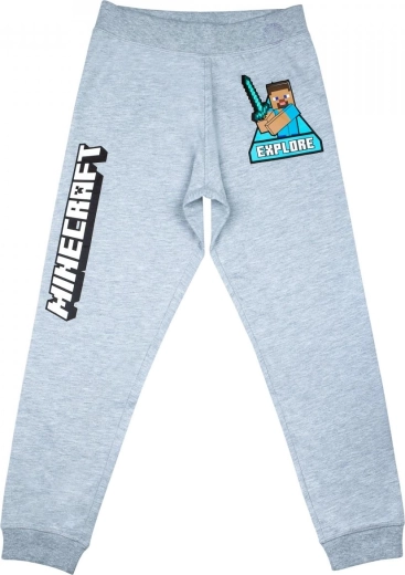 Boys' Minecraft Sweatpants in Grey