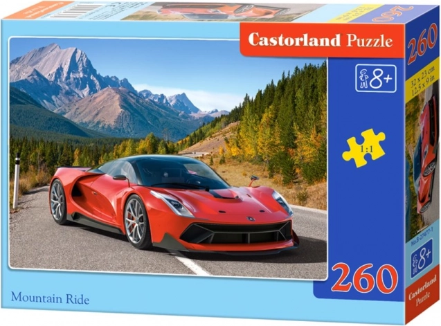 Puzzle Mountain Ride