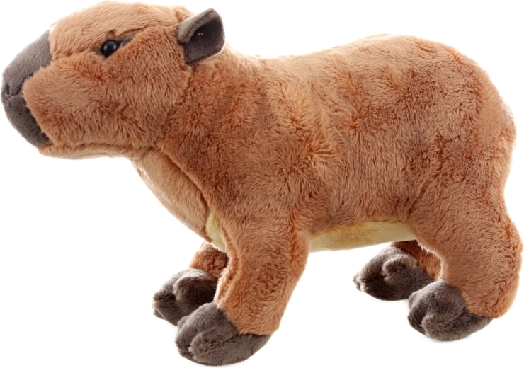 Безопасна още от раждането