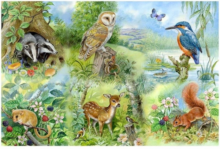 Nature Study Puzzle 250 Pieces