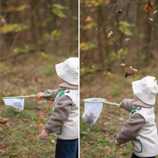Observing insects up close