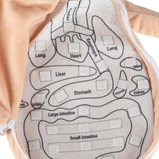 Коремче с цип и ясно разпределение