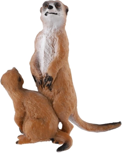 Realistic pair of meerkats