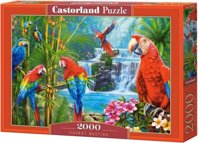 Пъзел 2000 части Parrot Meeting
