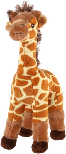 Cute giraffe appearance
