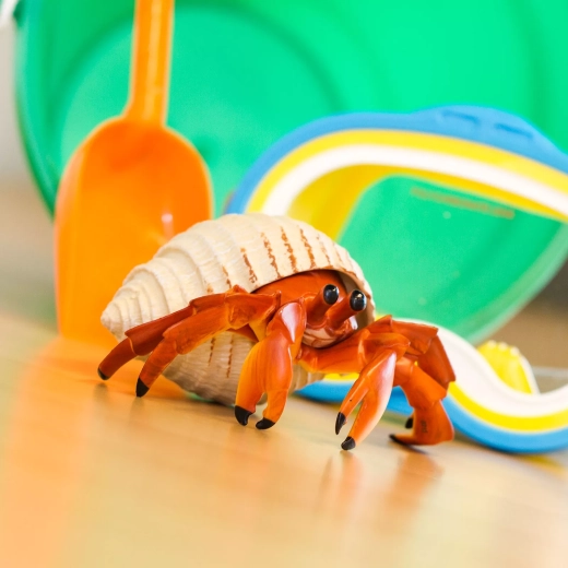 For play, collecting, and learning