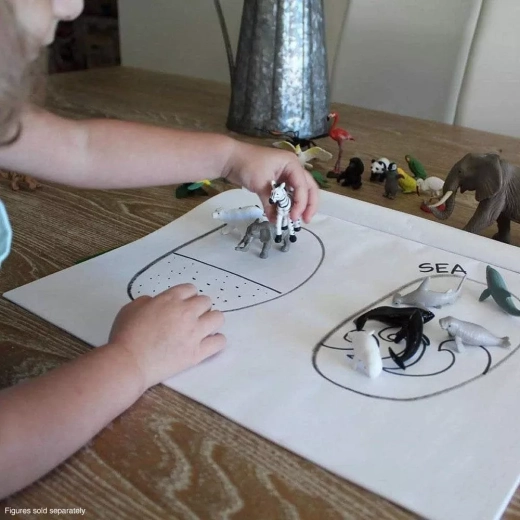 Learning through play: sorting, maps and English