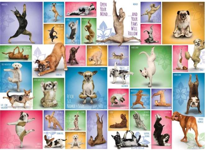 Puzzle EUROGRAPHICS Dog Yoga 1000 pieces