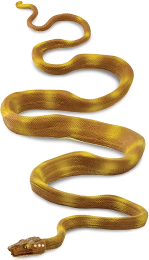 Orinoco false fer-de-lance (Safari Ltd.)