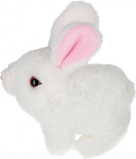 Избор от три цвята