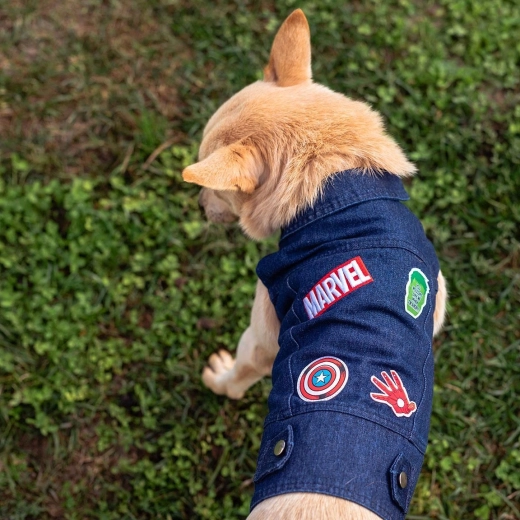 Cerda denim dog outfit Marvel, size S - 1 piece