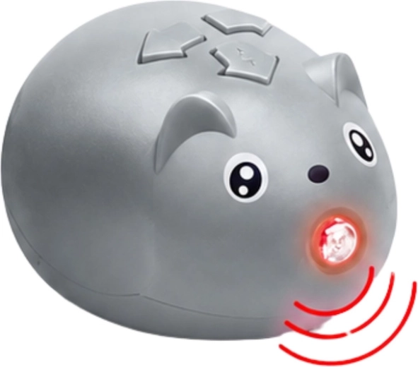 Infrared remote control
