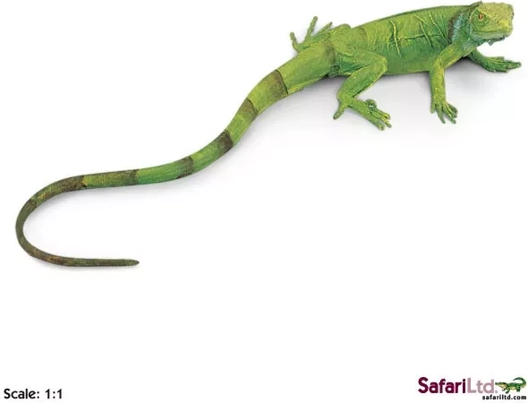 Safari Ltd. green iguana juvenile - 1 piece