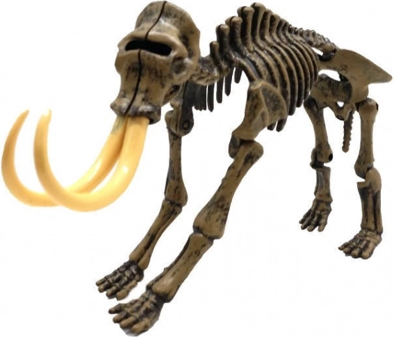 Buildable 3D Mammoth Skeleton