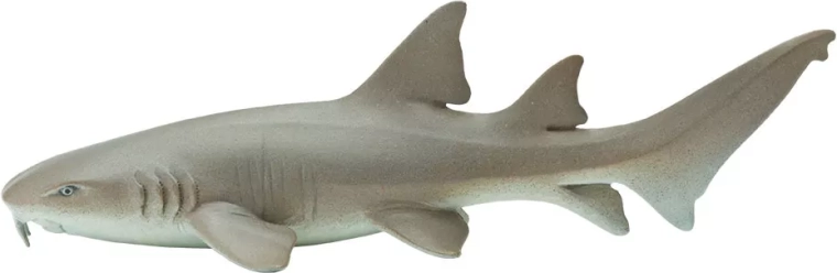 Nurse Shark Safari Ltd. - 1 piece