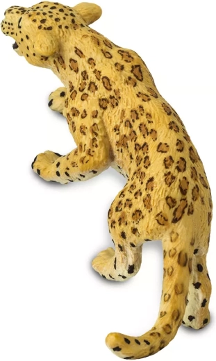 Realistic design with attention to detail