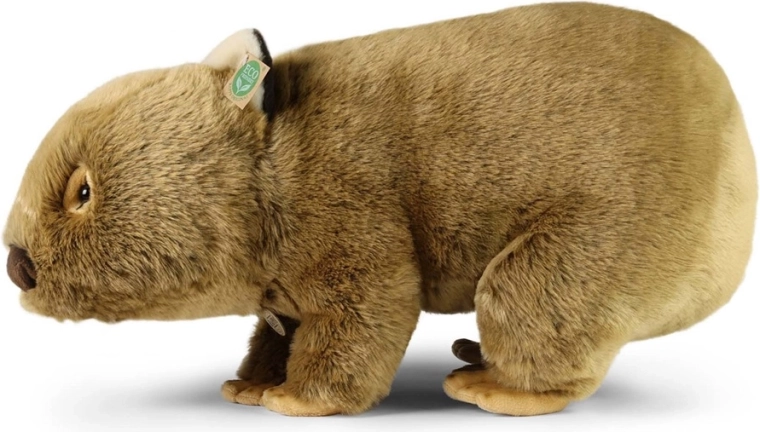Soft plush for comfortable cuddling