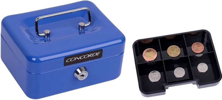 Practical coin insert for quick organization