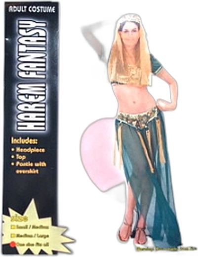 Adult Harem Dancer Costume - 1 piece