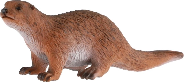 Faithfully depicted otter