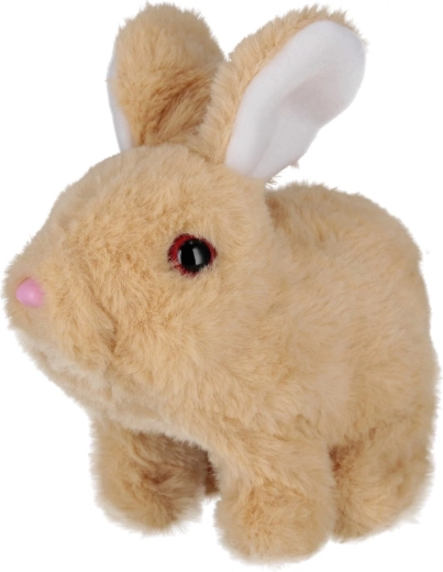 Очарователни движения и звуци